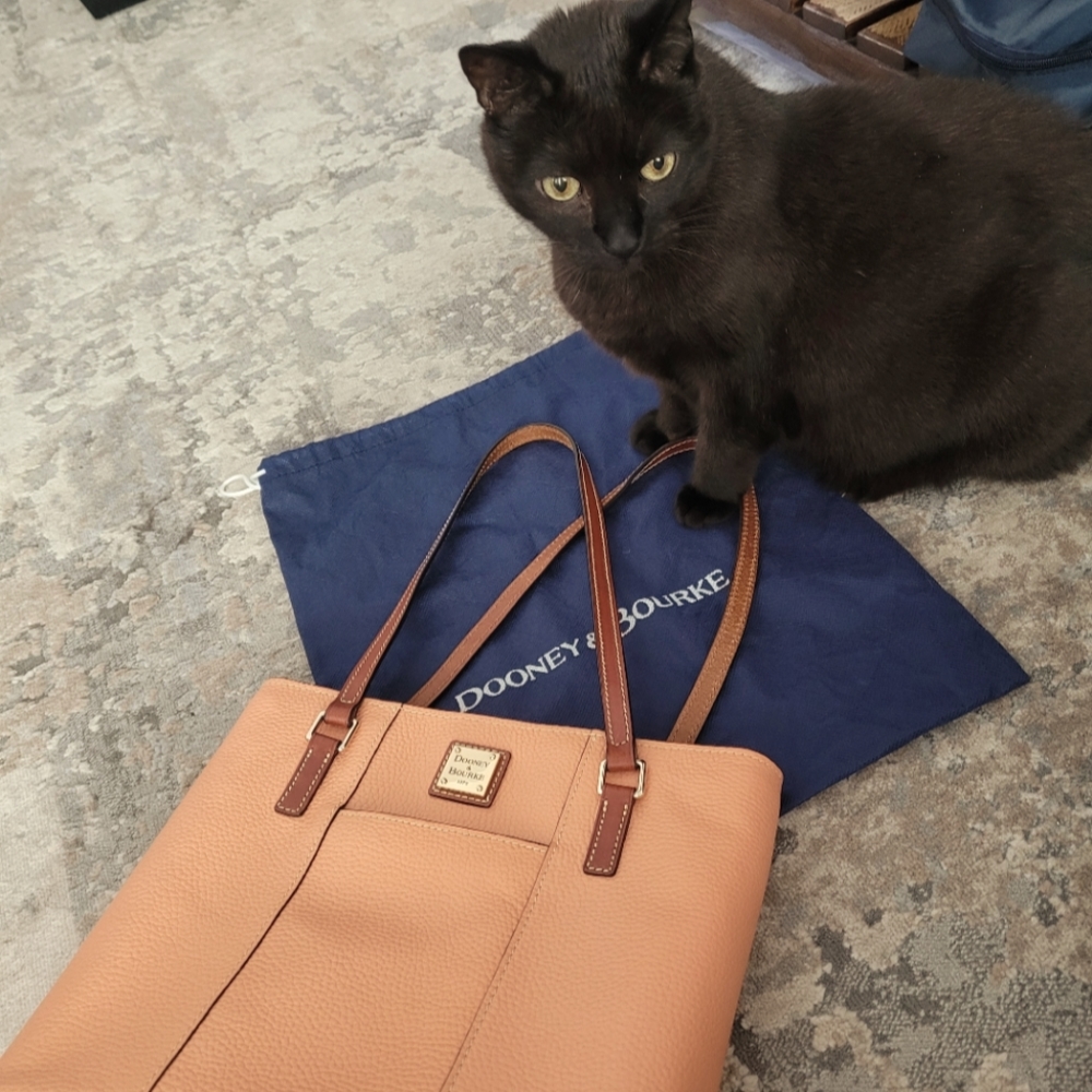 Dooney and Bourke small Lexington tote (cat not included)